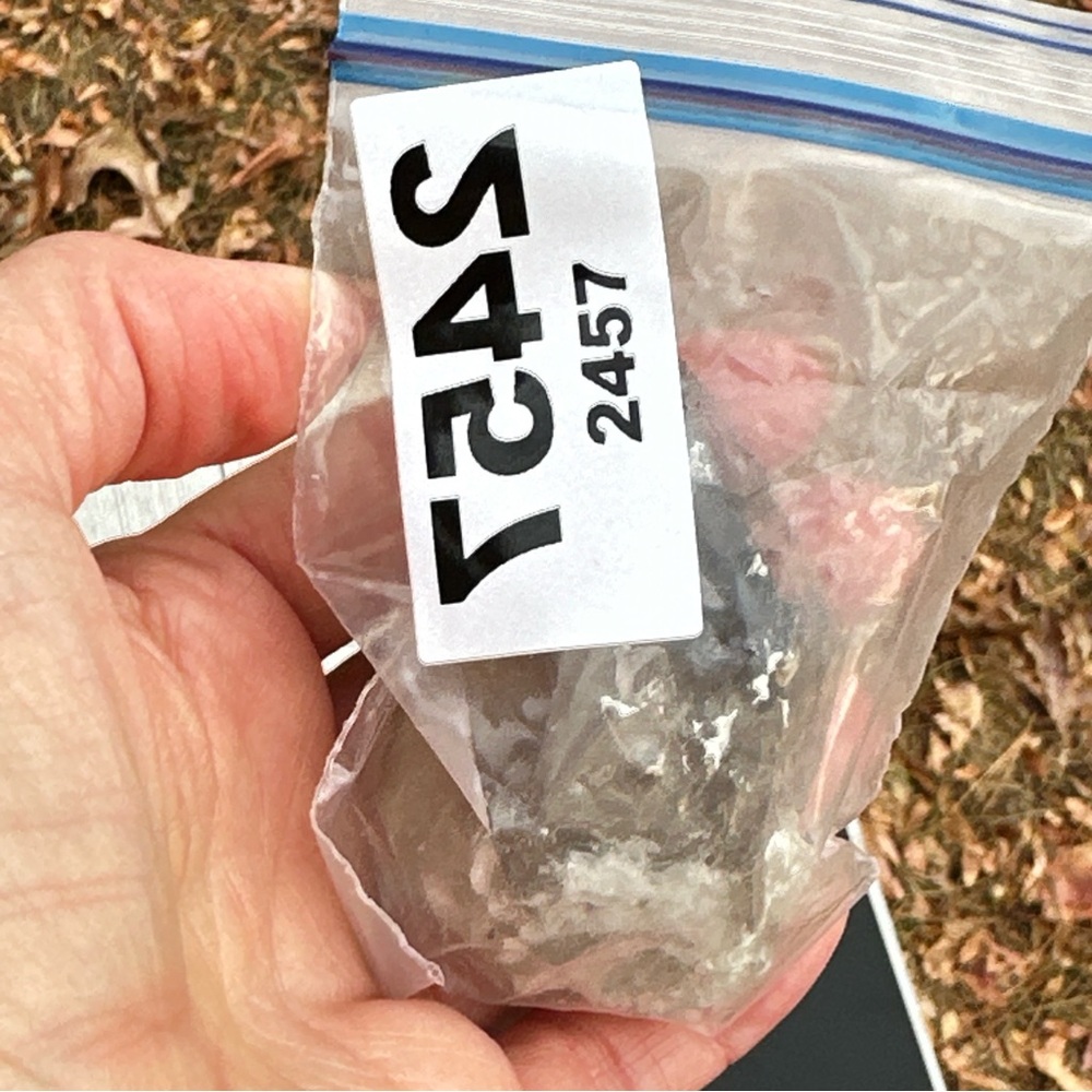 559.90 Carats Smoky Quartz Crystal - Picture 7 of 17